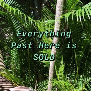 YOU’VE REACHED THE END